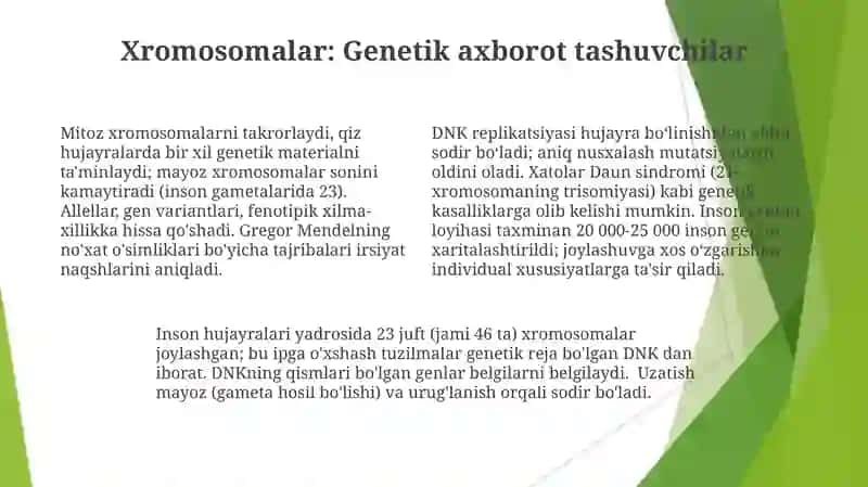 Hujayra yadrosi va irsiy axborotni uzatish mexanizimi 4