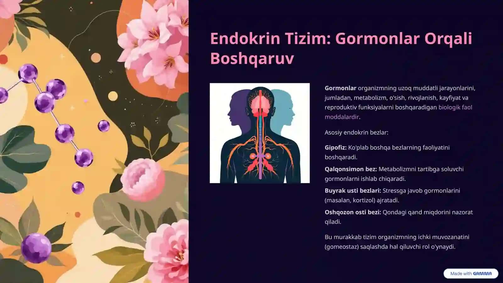 Organizmning Nerv, Immun va Endokrin Boshqaruvi 4