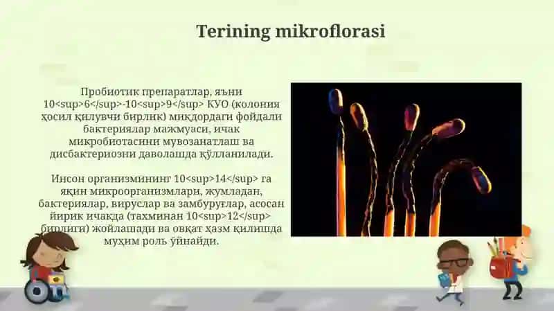 Odam organizmi normal mikroflorasi Disbakterioz haqida tushuncha 4