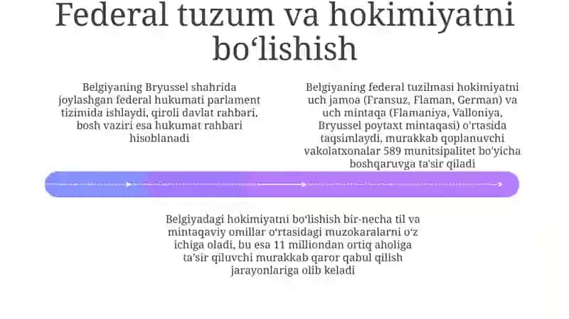 Belgiya boshqaruv tizimi va menejmenti 4