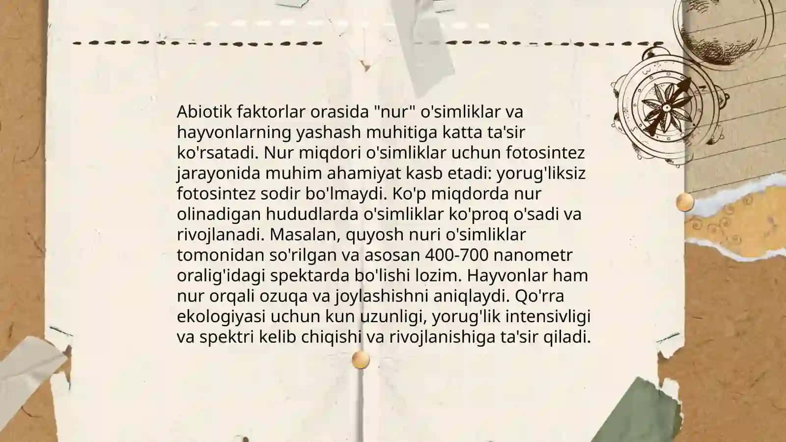 Ekologik faktorlar. Abiotik va Biotik faktorlar haqida tushuncha 4