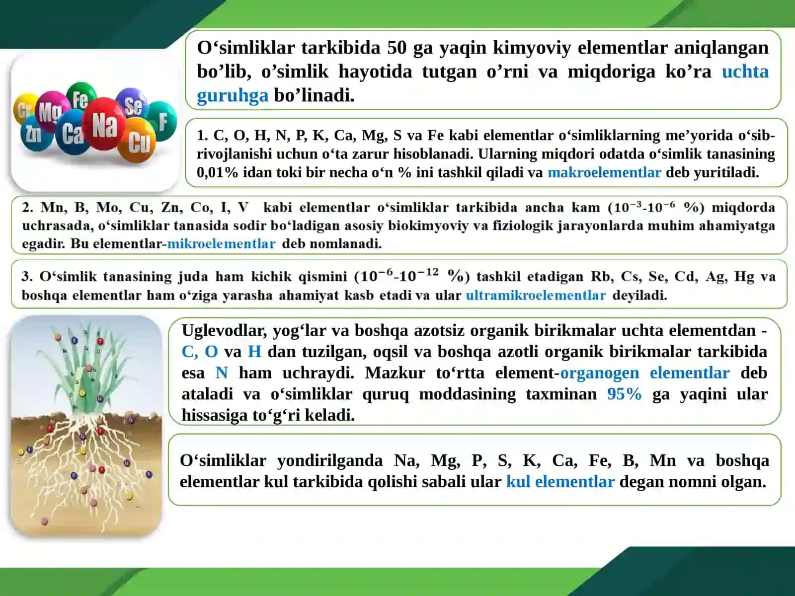 O‘SIMLIKLARNING KIMYOVIY TARKIBI VA OZIQLANISHI 4
