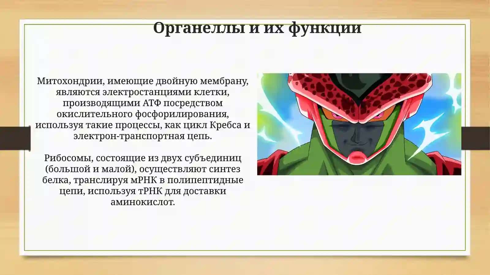 Клетка 4