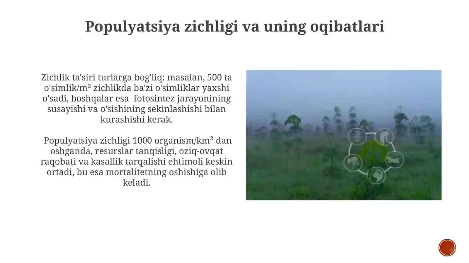 Ekologik stress va organizmlarga taʼsiri 4