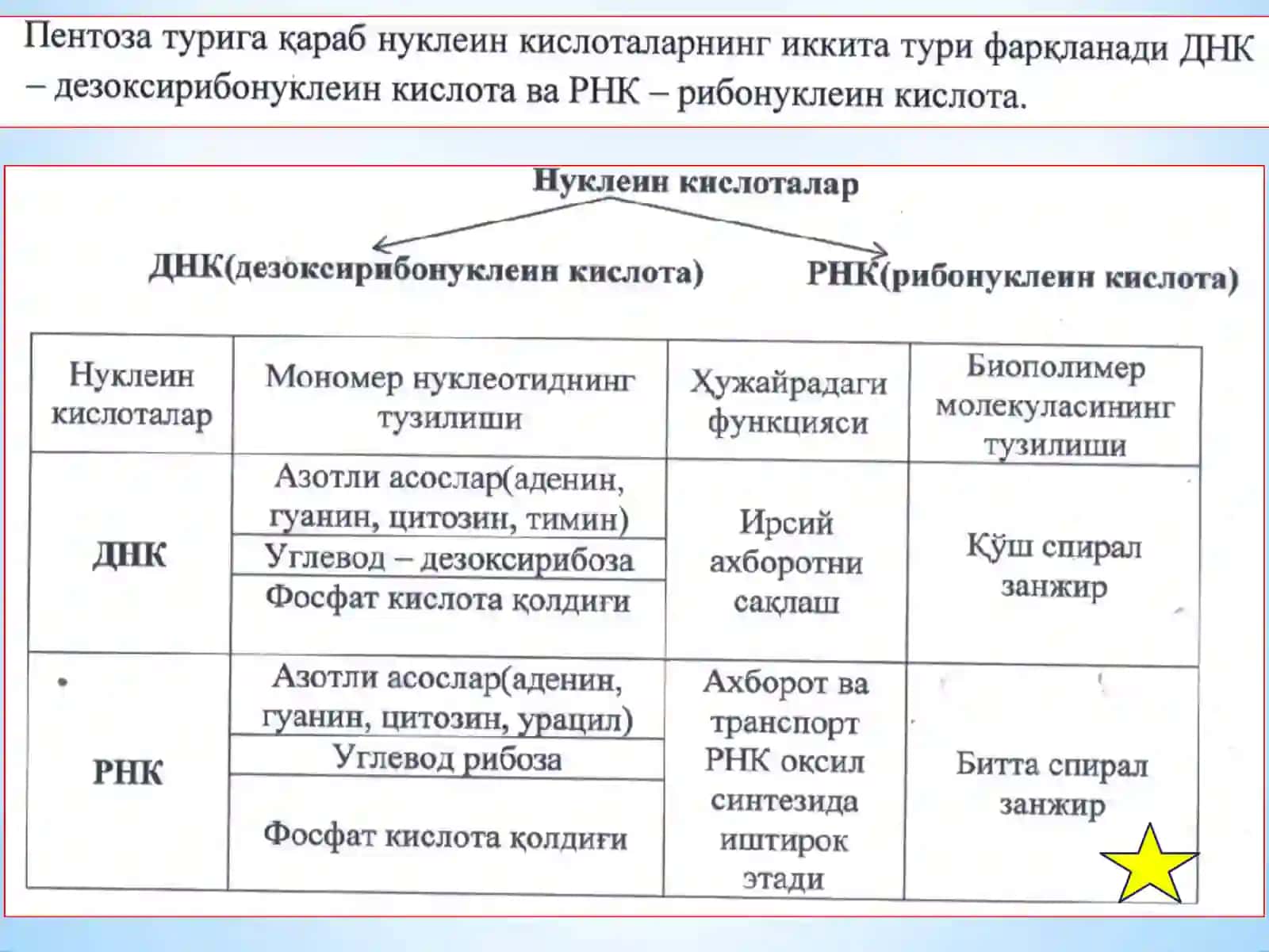 Тиббиёт биологияси ва генетикаси фанидан маъруза 4