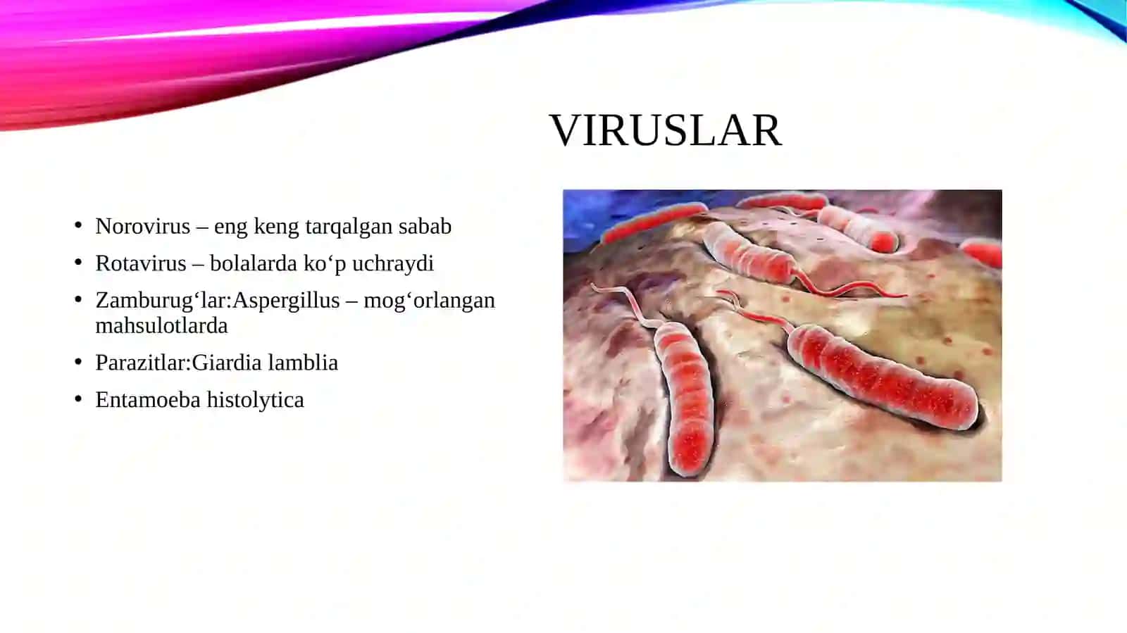 Ovqatdan zaharlanishni keltirib chiqaruvchi qo'zg'atuvchilar. Vabo qo'zg'atuvchisi va ularni laboratoriya diagnostikasi. Maxsus oldini olish choralari 4