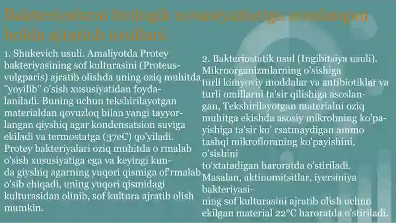 Aerob va anaerob bakteriyalarni sof hosilasini ajratish bosqichlari 4