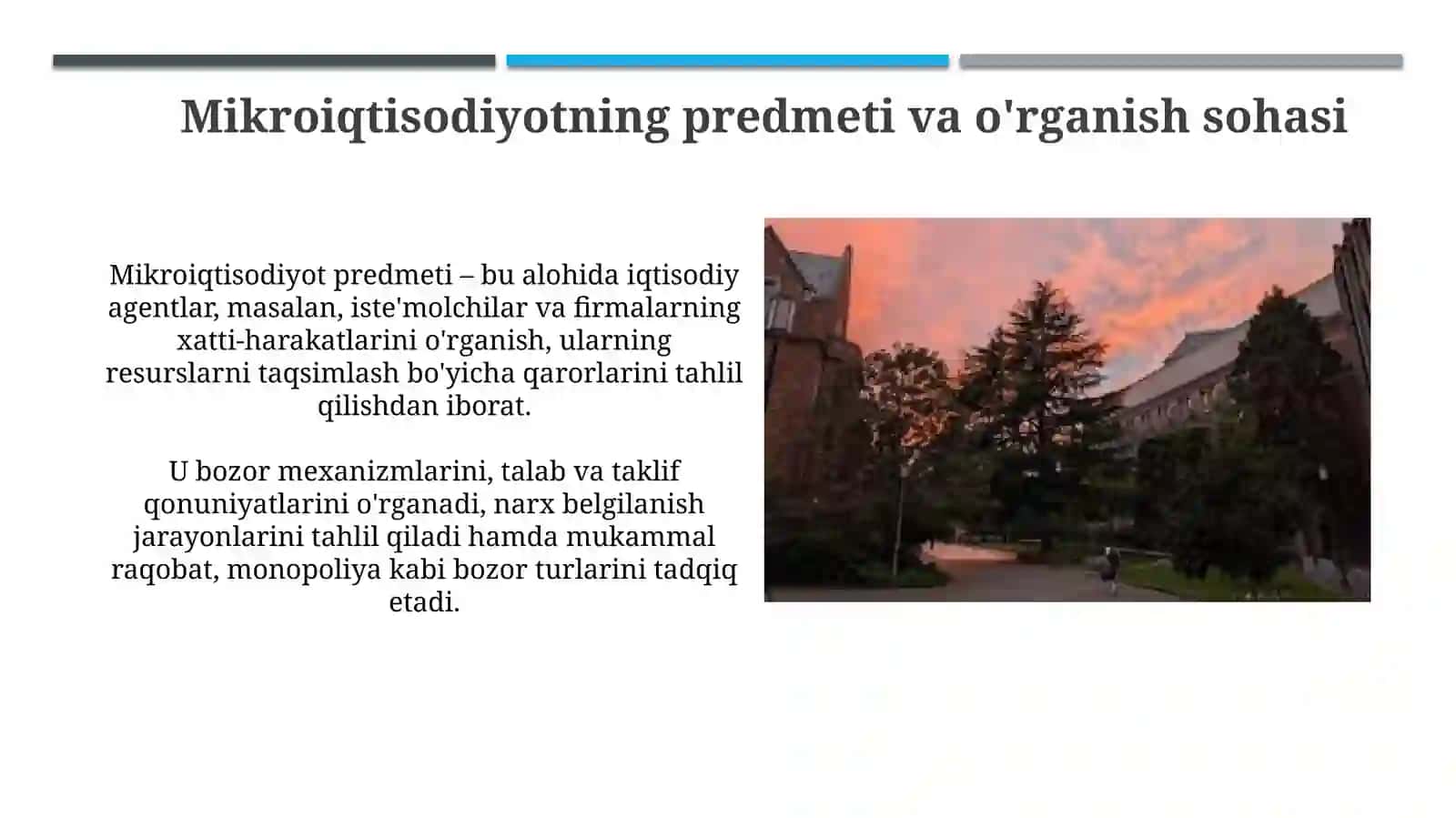 Mikroiqtisodiyotga kirish: Ta'rif va ahamiyat 4