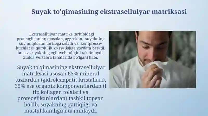 Suyak To'qimalarining Turlari va Funktsiyalari 4