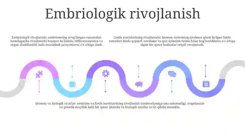 Limfa Tomirlari Rivojlanishi Va Ijtimoiy Biologik TaʼSiri 4