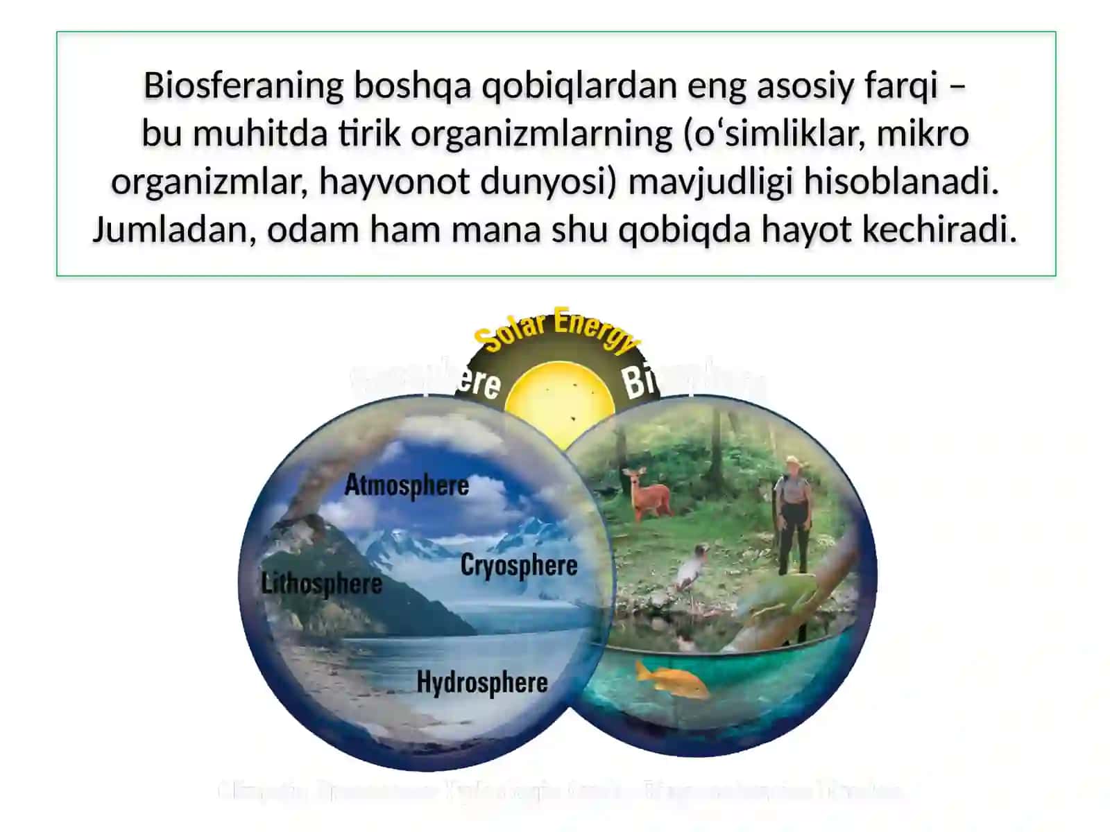 BIOSFERA 4