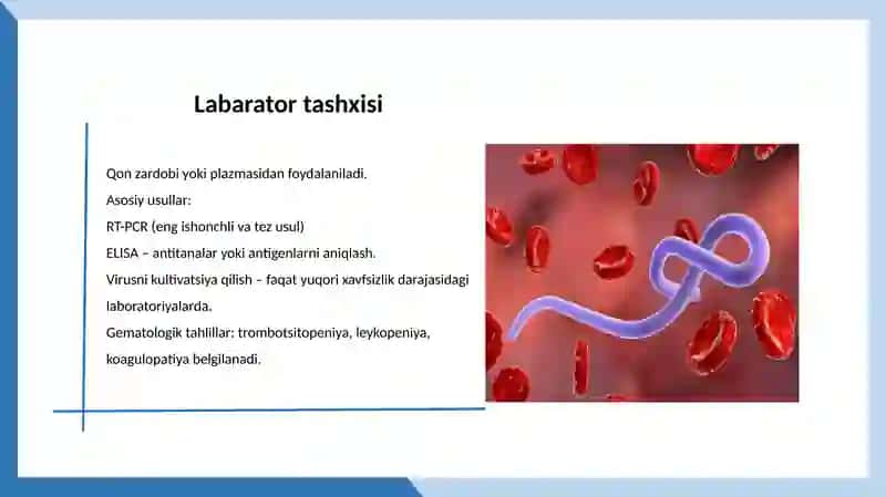 Ebola, Lassava, Zika virus 4