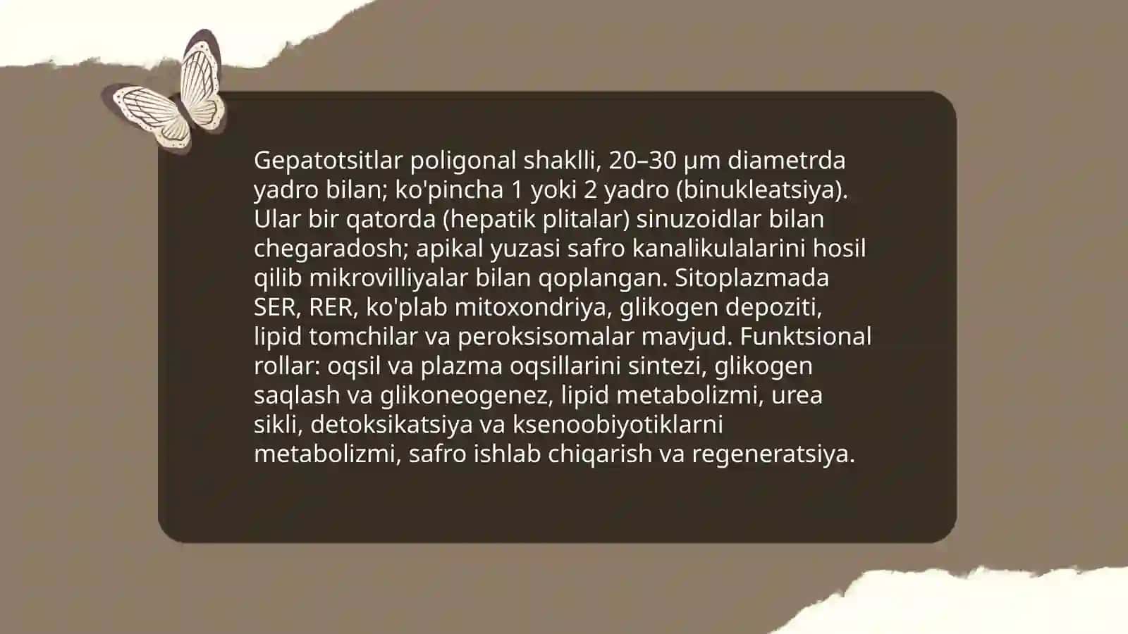 Jigar va yordamchi hazm bezlarining gistologik tuzilishi va funksional ahamiyati 4