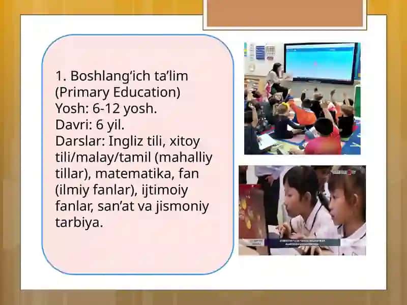 Singapur taʼlim tizimi 4