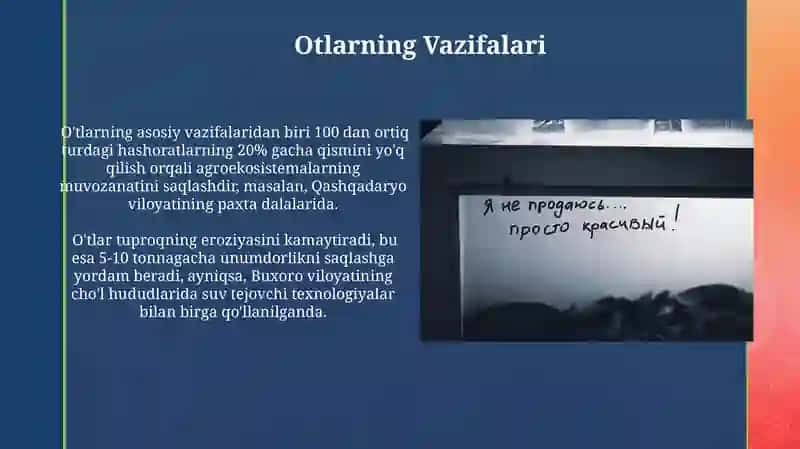 Ot Nomlarining Vazifalari 4