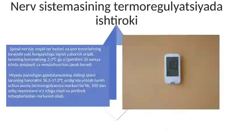 Termoregulatsiya 4
