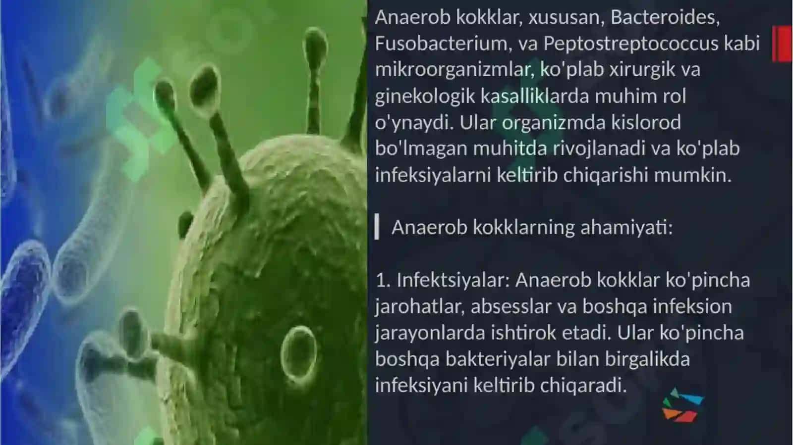 Mikrobiologiya Virusologiya Immunologiya fanidantayyorlangan 4