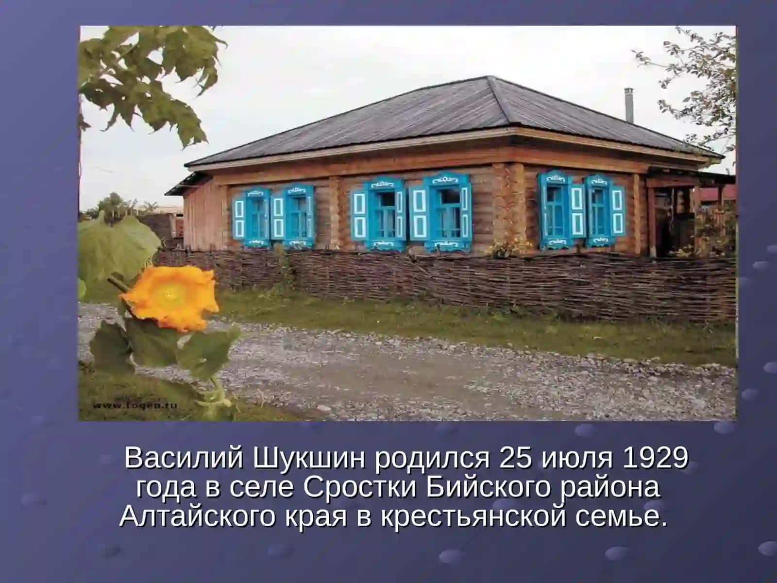 В.М.Шукшин – актер, режиссер, писатель… 4