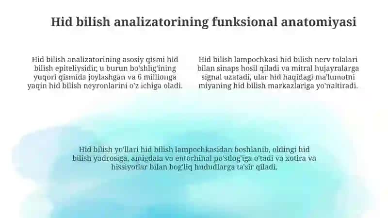Ta'mvahidbilish analizatorlarning funksional anatomiyasi 4