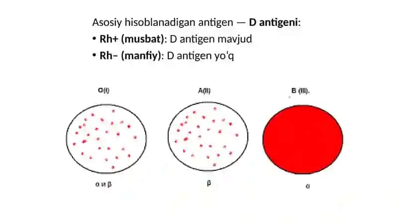 QON GURUHINI ANIQLASH TEXNIKASI 4