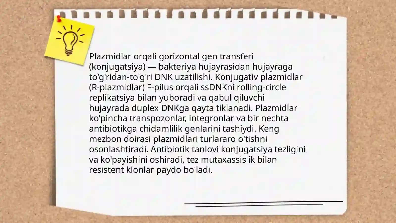 Bakteriyalarning antibiotiklarga chidamli shakillarini paydo boʻlish mexanizmlari 4