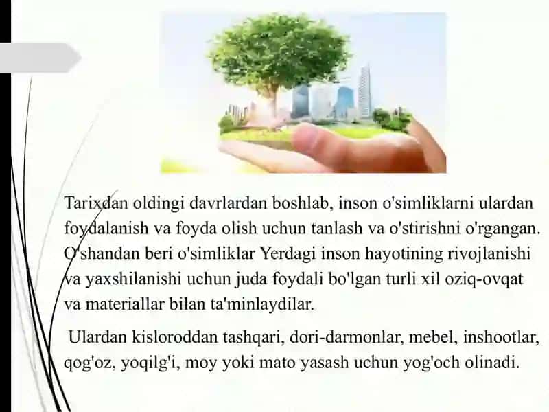 O'simliklar olamidan foydalanish va muhofaza qilish 4