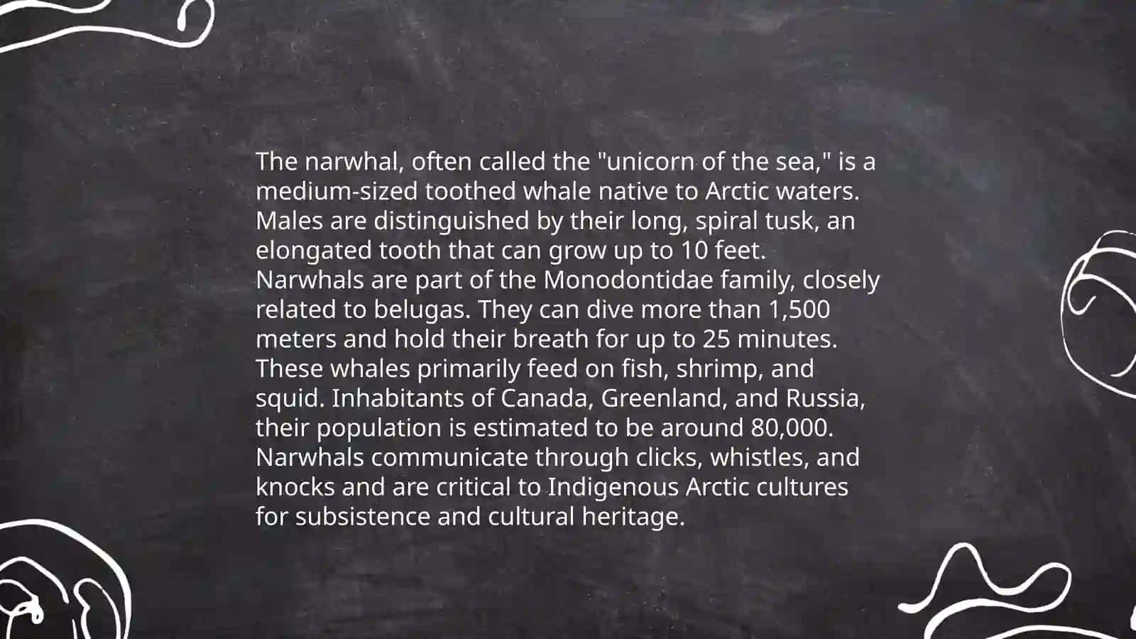 About strange animal 4