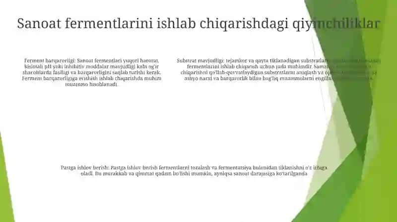 Fermentlar Ajratib Olish Uchun Sanoat Miqyosida 4
