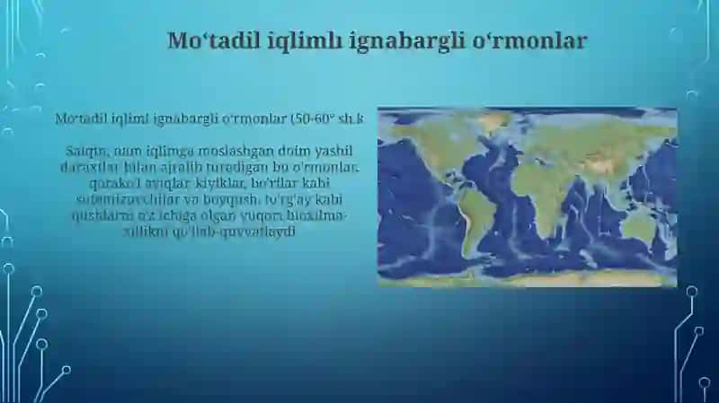 Mo'tadil iqlim mintaqasi tabiat zonalari 4