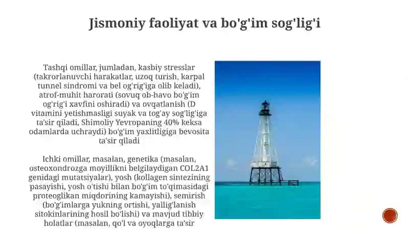 Bo‘g'imlartuzilishigatashqivaichkifaktorlarnita'siri 4