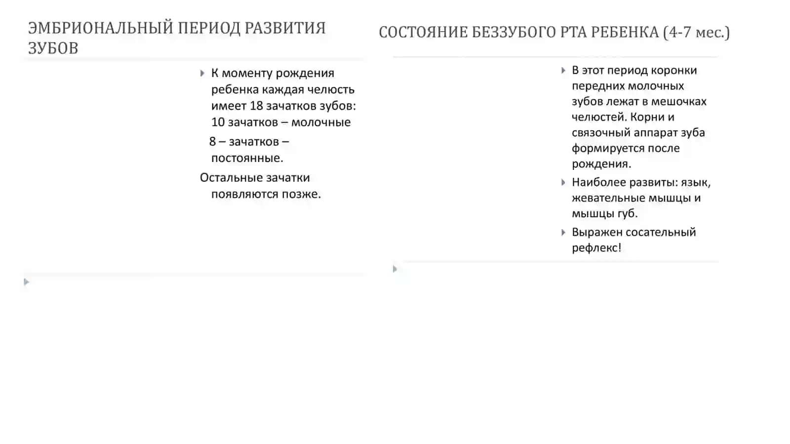 Общая анатомия зубов. Развитие зубов. Зуб как орган 4