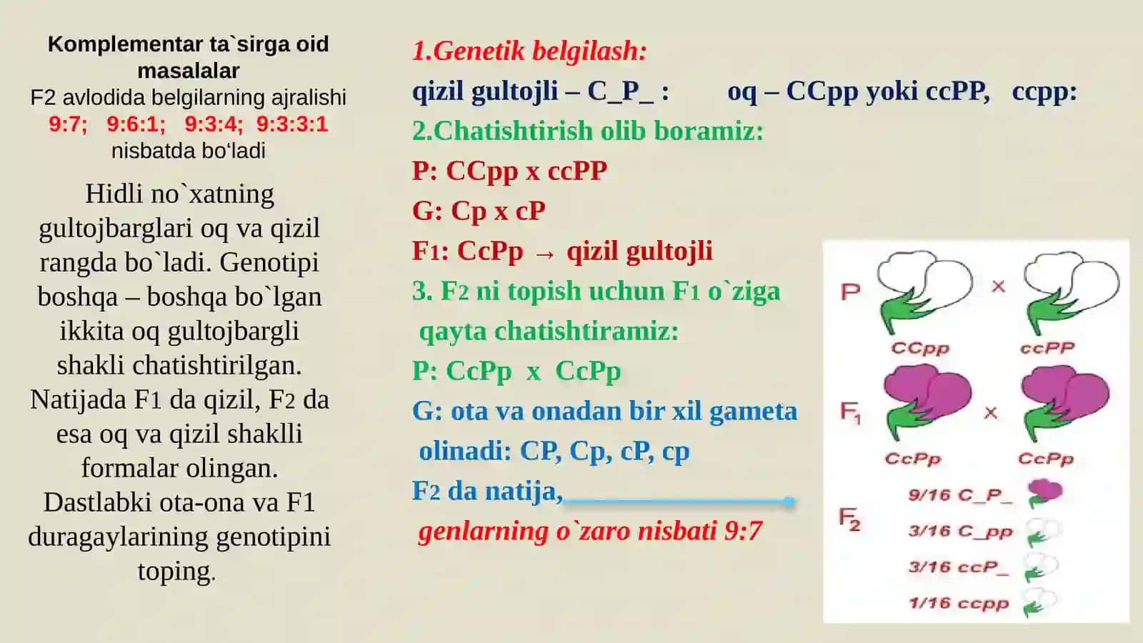 Komplementar ta`sirga oid masalalar 4