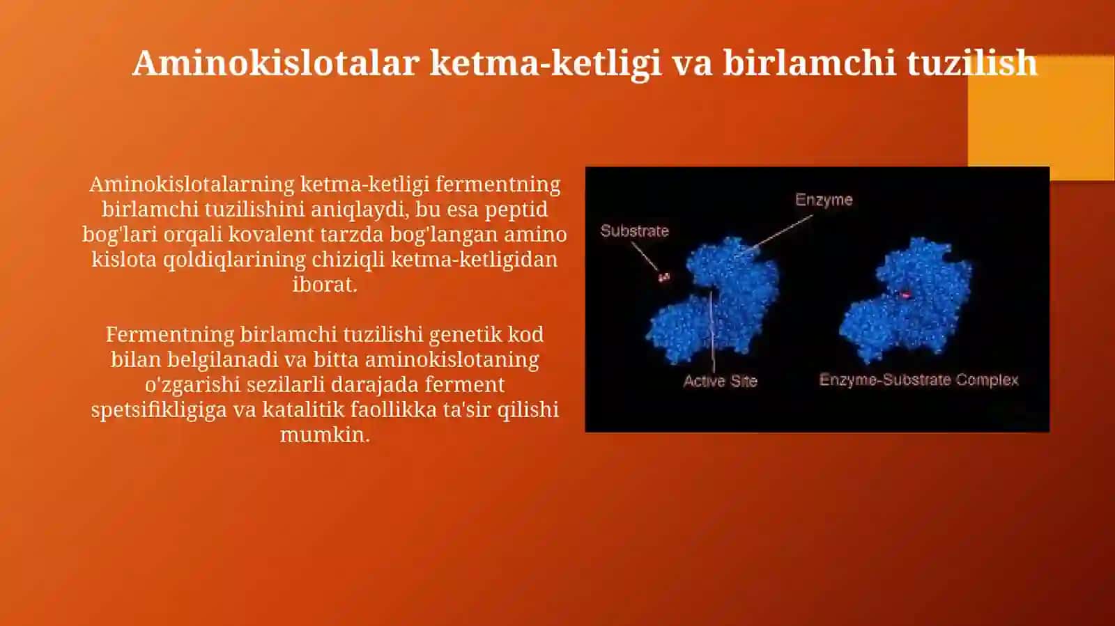 Fermentlarning tuzilishi va o'ziga xosligi 4