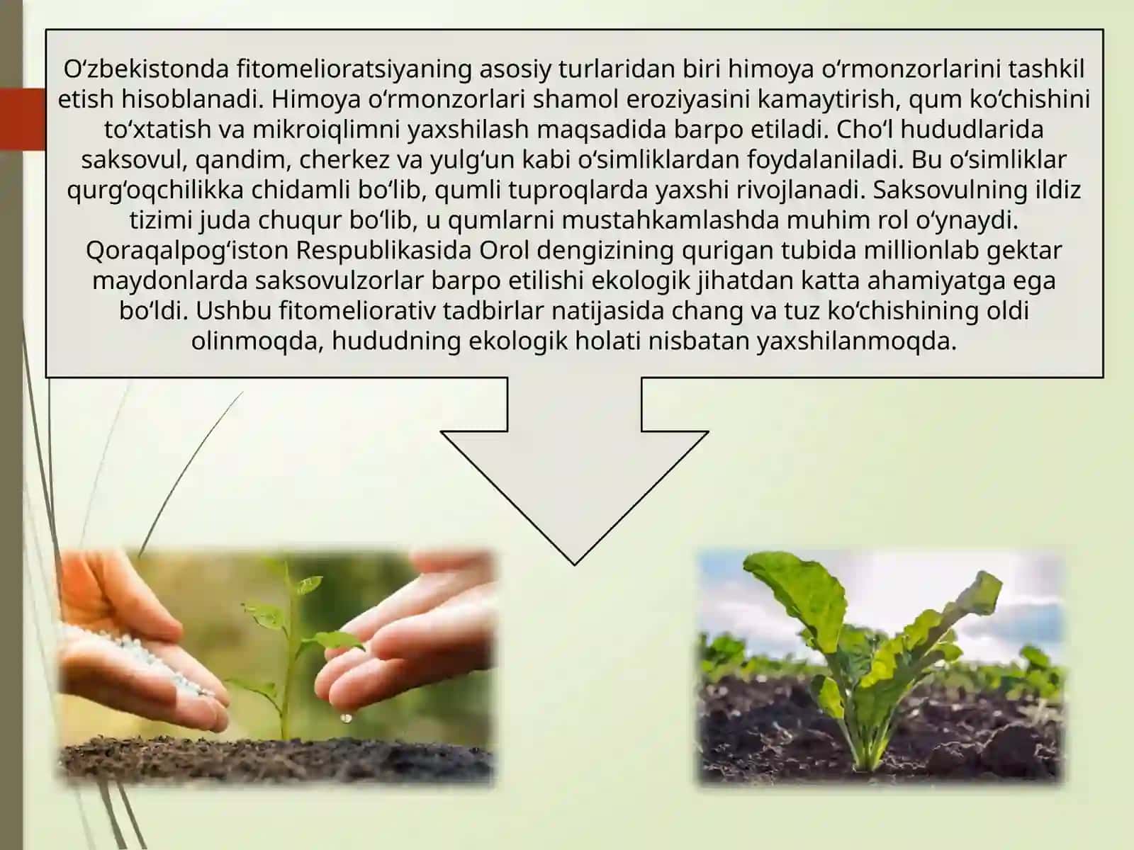 O‘zbekistonda fitomelioratsiya turlari tahlil qilish 4