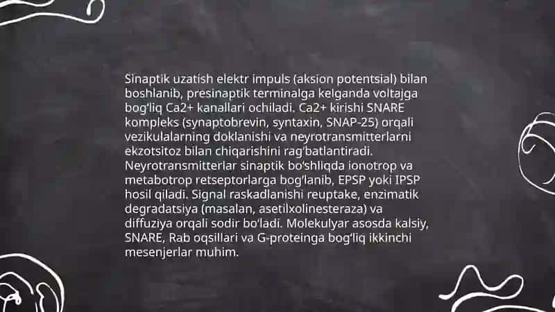 Asab sistema sezgi azolari sekretsiya bezlari anatomiyasi va fiziologiyasi 4