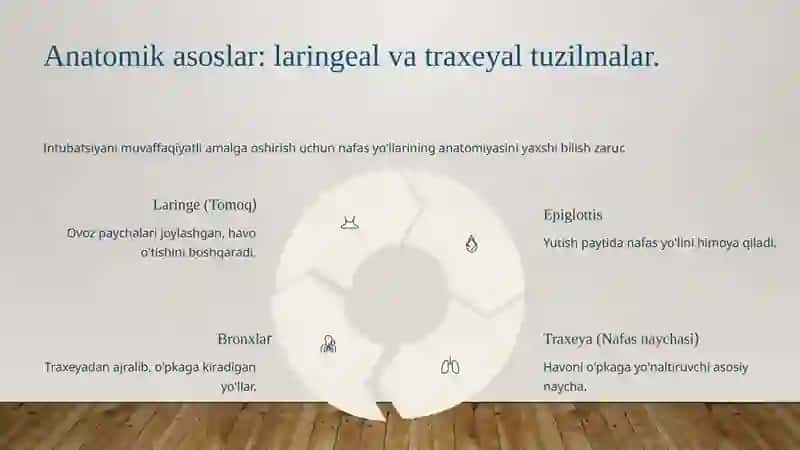 KEKIRDAK INTUBATSIYASI. TRAXEO - BRONXOSKOPIYA 4