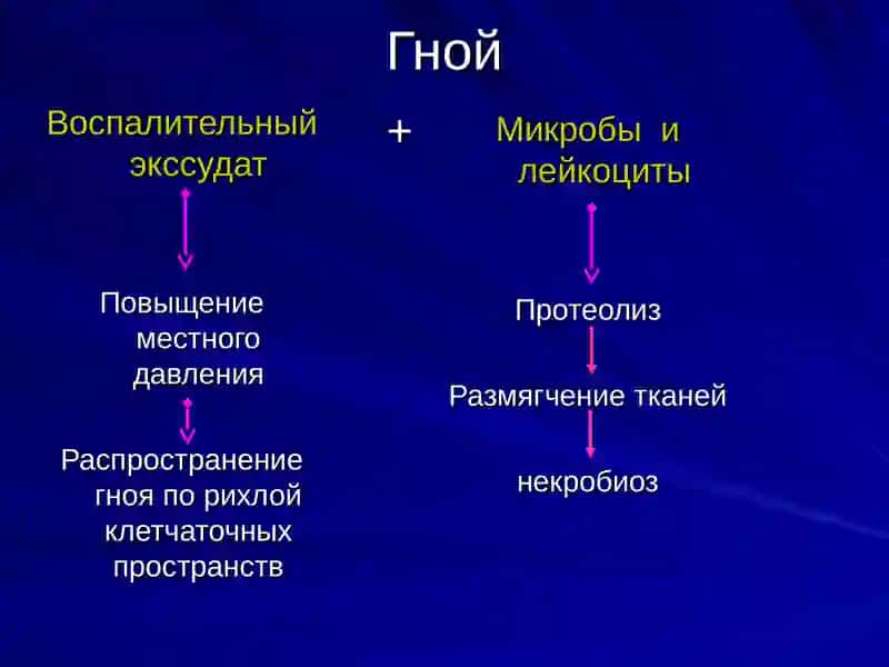 КЛИНИЧЕСКАЯ АНАТОМИЯ С ОСНОВАМИ ОПЕРАТИВНОЙ ХИРУРГИИ 4