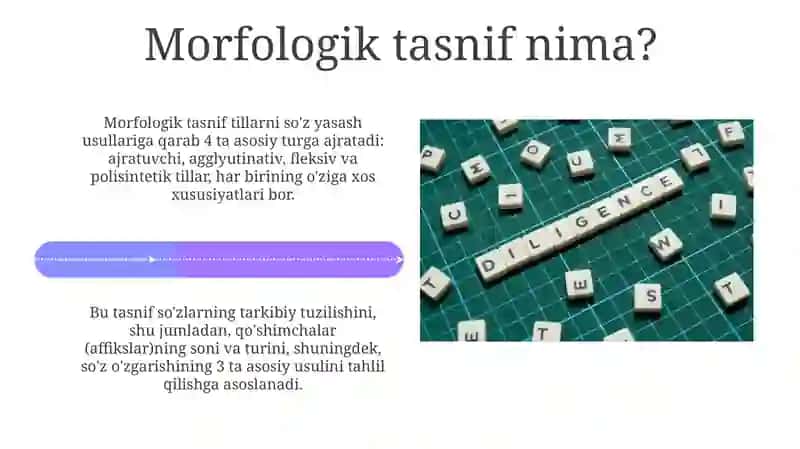Dunyo tillarining morfologik tasnifi 4
