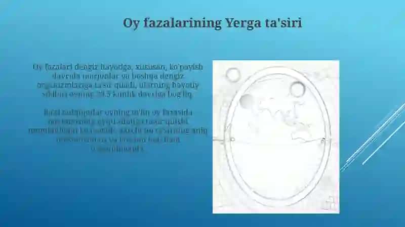 Oy va uning fazalari 4