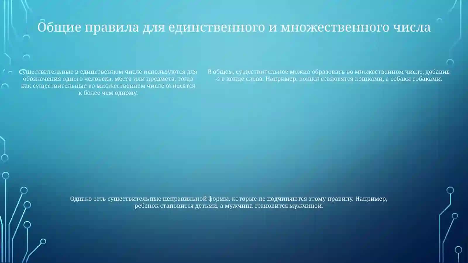 Склонение имен существительных в единственном и множественном числе 4