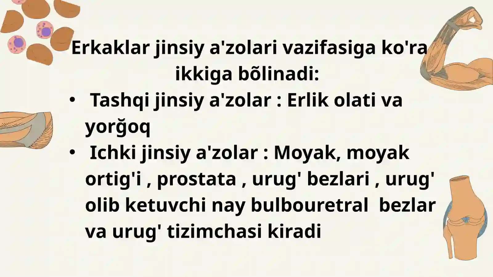 Abu Ali ibn Sino nomidagi jamoat salomatlik texnkumi 4