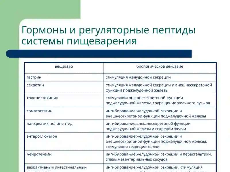 Патофизиология системы пищеварения 4