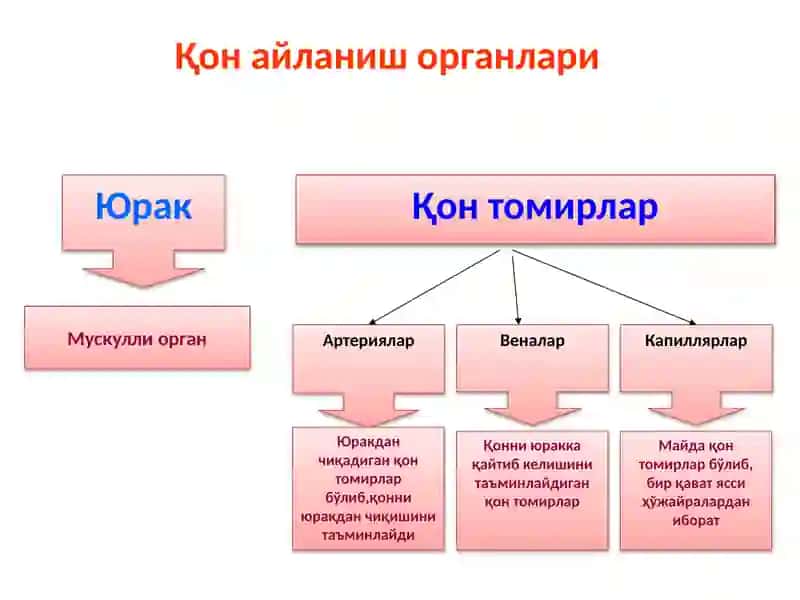 ЮРАКваҚOН АЙЛАНИШOРГАНЛАРИНИНГЁШ ХУСУСИЯТЛАРИ 4