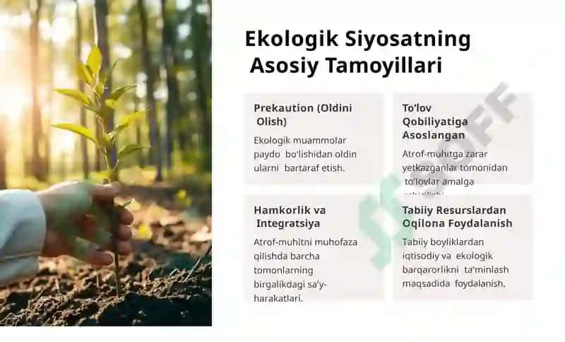 Ekologik Siyosat va Ekologik Huquq 4