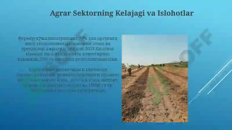 Zamonaviy Agrar Siyosatning Islohotlari va Muammolari 4