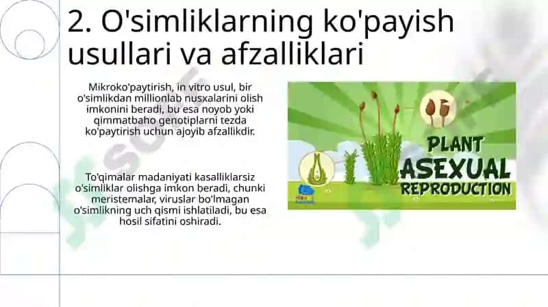 O'simliklarning jinsiy va jinssiz ko'payish 4