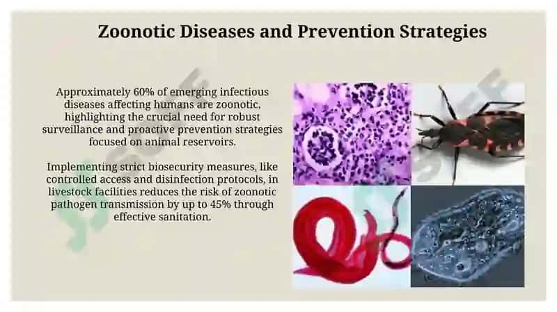 One Health: Interconnectedness of Animal, Human, and Environmental Health 4