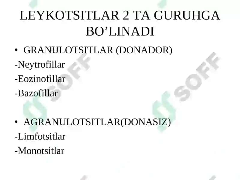 Qonning himoya xossalari. Qon ivishi. Qon guruhlari. 4