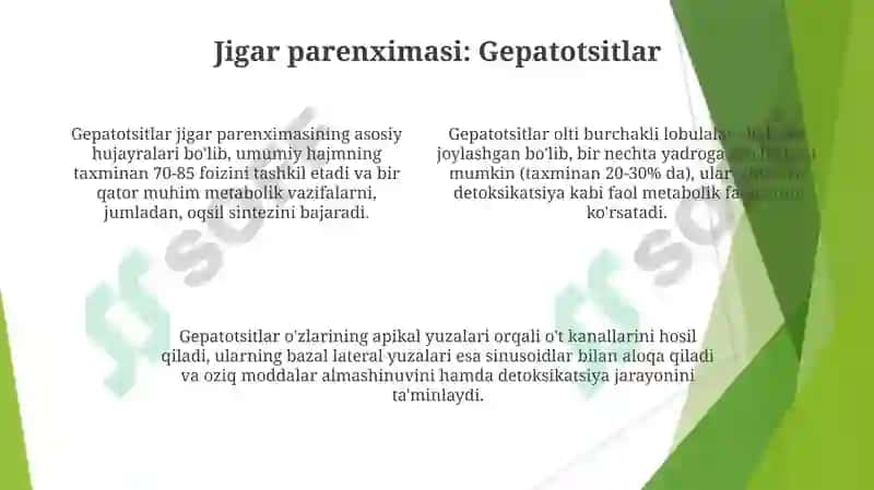 Jigar 4