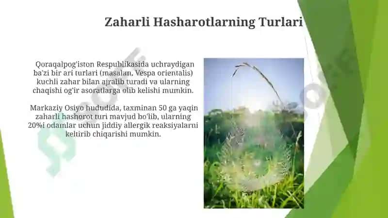 Zaharli Hashamatlar 4